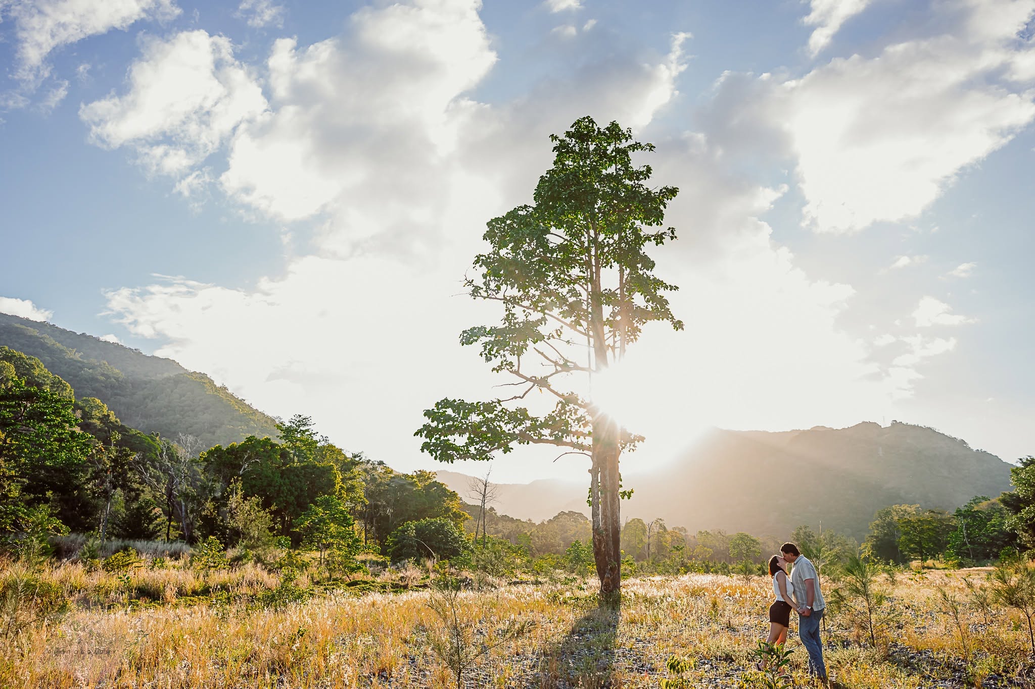 A couple kissing beneath a tall tree with the sun streaming through its branches