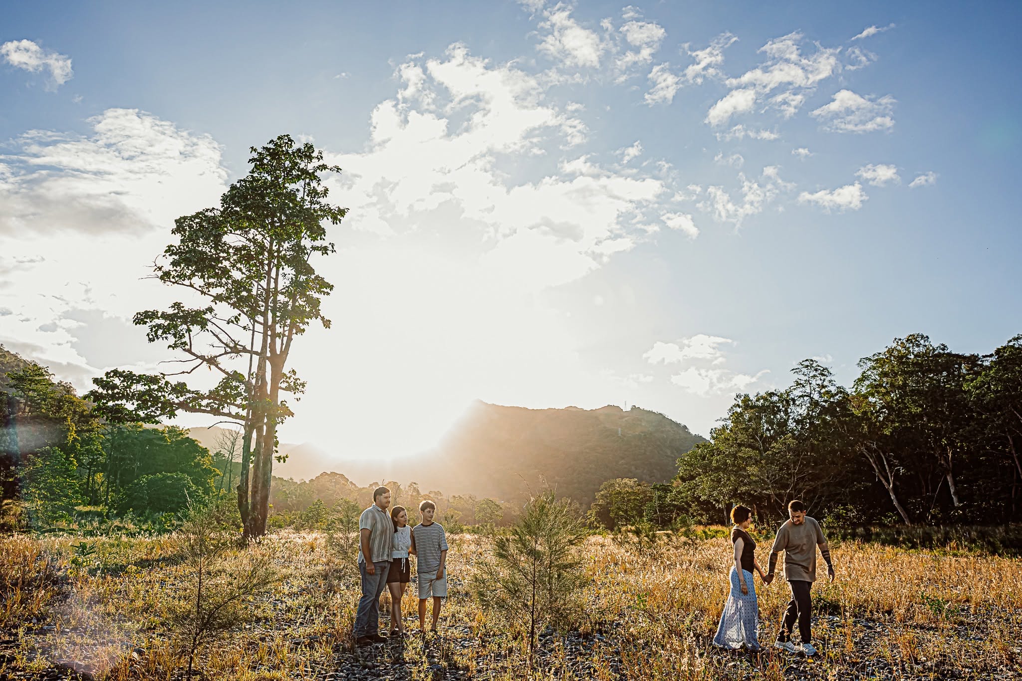 A family walking through a golden field with the sun flaring behind a tall tree