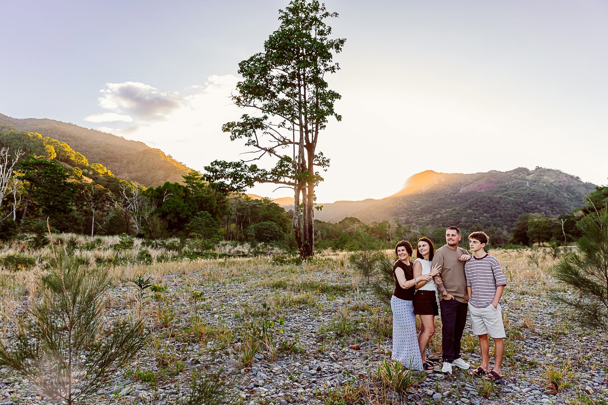 A family walking and standing in a golden field at sunset with a tall tree and mountains behind